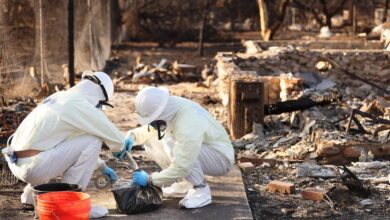 L.A. fires led to more than 400 additional deaths, study finds