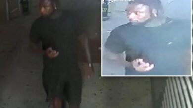 Man arrested for attempting to rape woman, 21, in Times Square