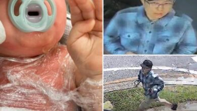 Migrant allegedly attacked baby after visa application rejection