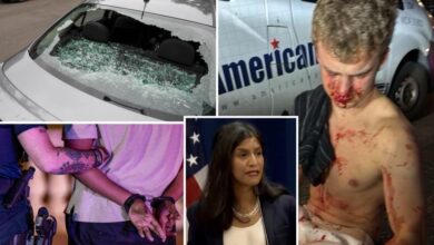 Migrant crime and carjackings ‘don’t matter to that many Americans,’ left-wing think tank VP tells Democrats 