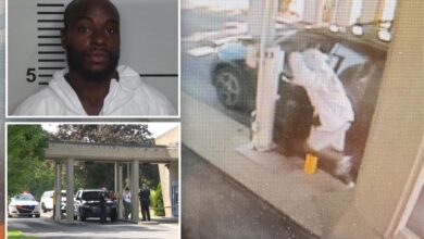 Mom, kids allegedly abducted at knifepoint by career criminal — who was out on ‘shock probation’ thanks to Dem-appointed judge