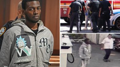 NYC carjacker seriously injures 87-year-old woman in wild morning crime spree: prosecutors