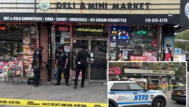 NYC deli worker stabbed to death by man in unprovoked attack: sources