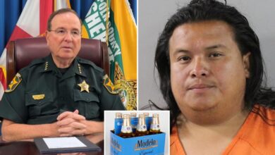 Nicaraguan man illegally in US facing ‘enhanced’ charges after drunken hit-and-run: sheriff