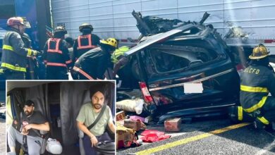 No, we don’t need illegal immigrants to do jobs Americans ‘won’t’