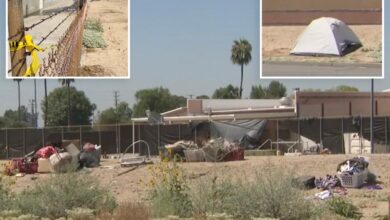 Pack of stray dogs kills woman near California park