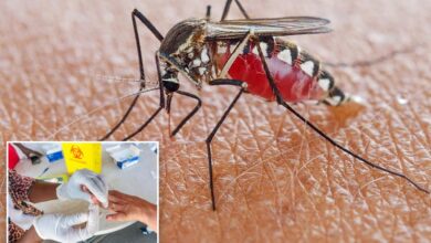 Person in NJ develops malaria without traveling outside U.S.