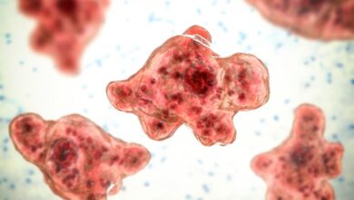 Rare brain-eating amoeba infection possibly linked to water skiing confirmed in Missouri