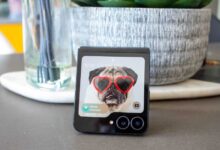 Samsung Galaxy Z Flip 7 FE Review: Second Best
