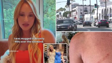 ‘Selling Mega Mansions’ host Camille Anderson mugged in Beverly Hills, blasts Los Angeles violent crime