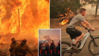 Southern California wildfire grows from 50 acres to over 1,000 acres in just hours