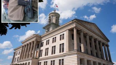 Tennessee judges rule gun limits in parks and playgrounds are unconstitutional