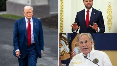 Trump calls for rare mid-decade census to exclude illegal migrants