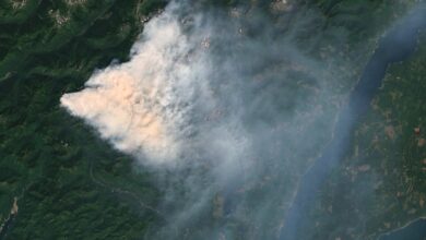 Two Firefighters Held At Washington ICE Detention Center Amid Wildfire, U.S. Representative Says