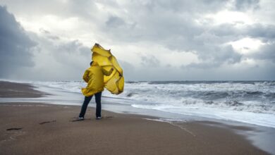 Why the U.S. job market has soured