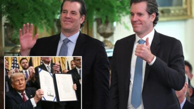 Winklevoss twins reveal more details in Gemini IPO filing