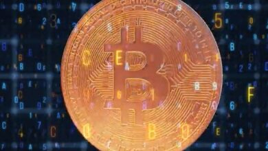 The crypto craze sweeping Washington and Wall Street