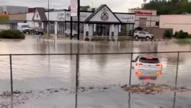 Parents, child killed when tree falls on car as heavy rain and flooding hit Tennessee