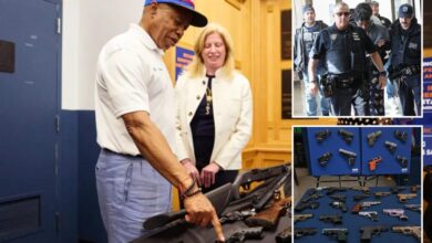 gang takedowns, gun seizures and precision policing