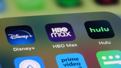 Hulu and Disney+ will be combined into one app starting next year, Disney says