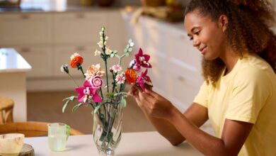 Lego builds record earnings from botanical-themed bricks and brand deals