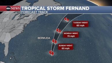 More than 50 million on alert for dangerous heat