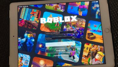State sues Roblox over alleged failed protection
