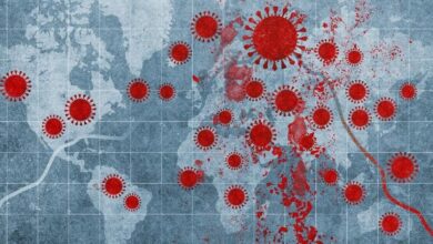 An Algorithm For Controlling Epidemics