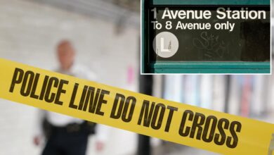 Anti-white attacker pummeled stranger who glanced at her in unprovoked NYC subway assault: cops, sources