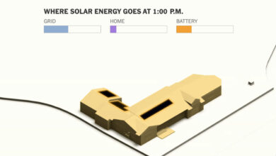 Are Rooftop Solar Panels the Solution to America’s Growing Energy Crisis?