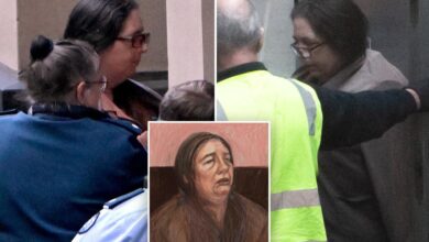 Australia mushroom murderer Erin Patterson jailed for minimum of 33 years after killing elderly relatives