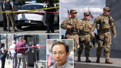 Chicago Democratic leader wants Trump to send in the National Guard