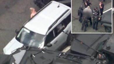 Cops arrest naked woman after four-hour standoff in Los Angeles with dog in car