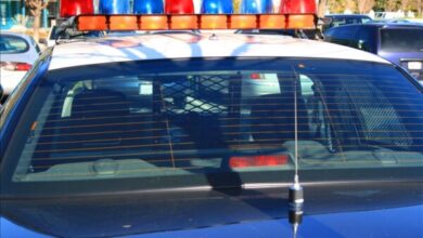 Crime Discussions-A Liberal’s Think Tank’s Advice To Progressives