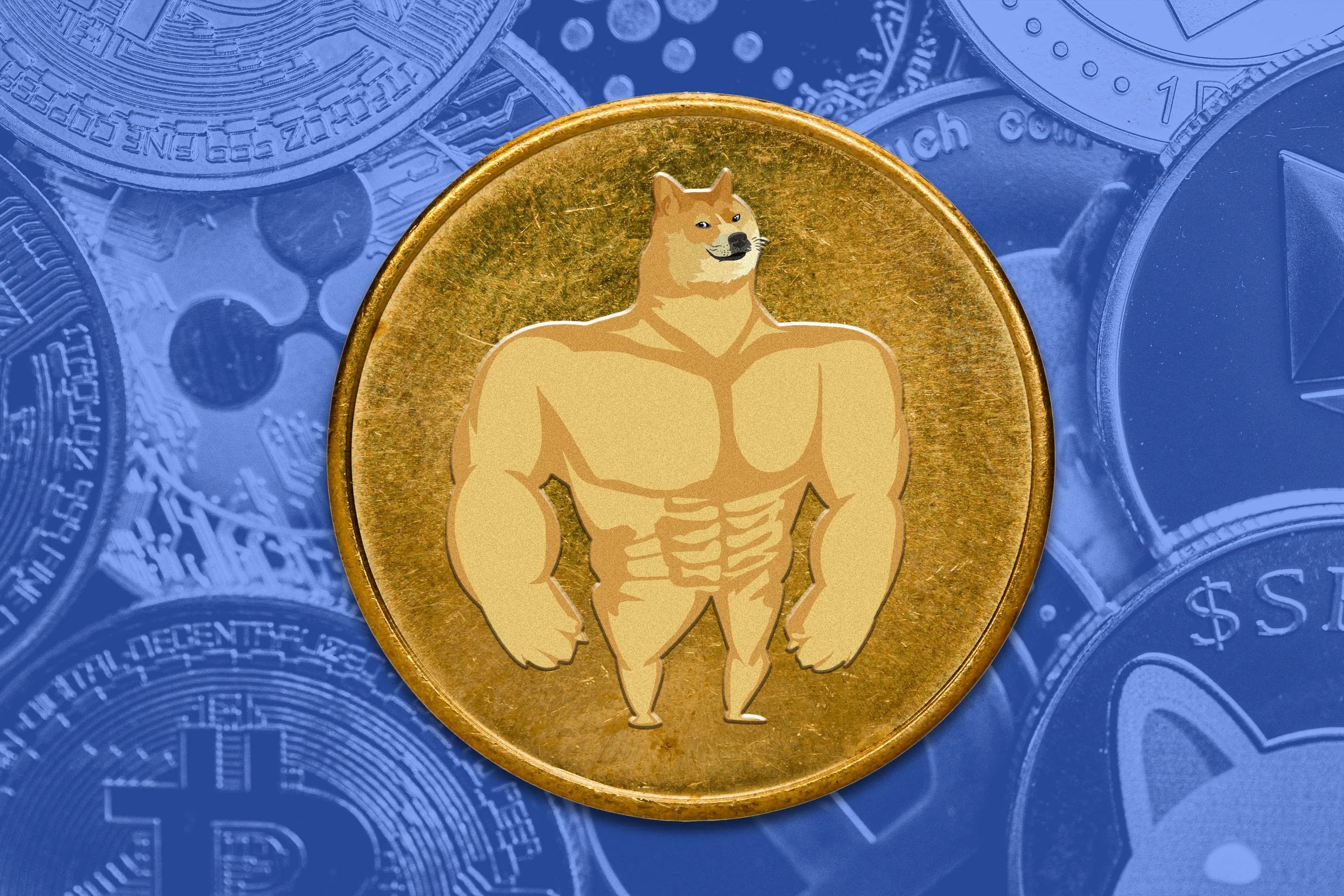 Maxi Doge: How to Buy the Presale Crypto Meme Coin