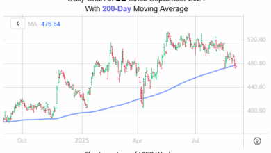 Don’t Sweat the Deere Stock Chart Pullback