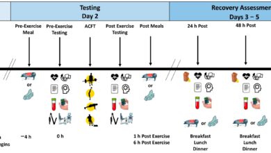Eating animal protein following training can improve recovery, study finds