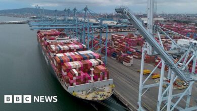 Global growth forecast upgraded by OECD