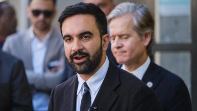 How Zohran Mamdani is dividing Democrats and paving the way for GOP victories