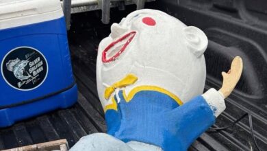 Humpty Dumpty Got Dumped Off A Wall And Now The Cops Are Involved