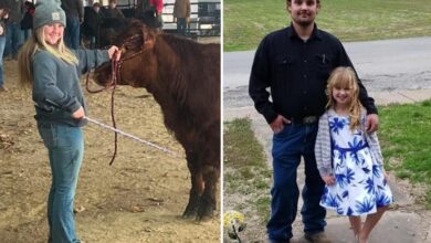 Illinois father shoots at bird, accidentally kills daughter, 14: cops