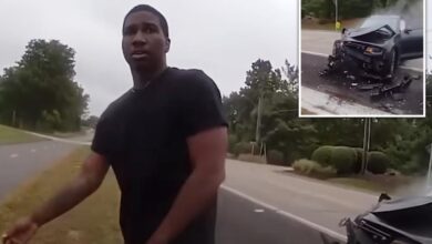 Illinois motorist purposely drives car into police cruiser during traffic stop