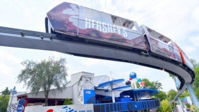 Lost Boy Wandering Elevated Monorail Line In Hersheypark Is Saved By Another Parkgoer