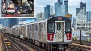 Man, 25, stabbed, critically hurt during clash with smiling straphanger on board NYC train: cops