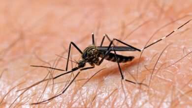 Map shows West Nile virus cases as officials warn season isn’t over