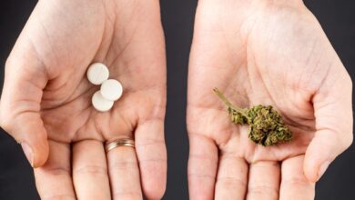 Non-Opioid Painkillers Have Struggled–Cannabis Drugs Might Be The Solution