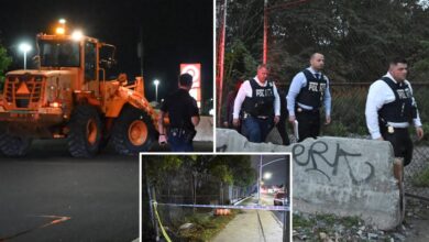 Partial skeletal remains, including human skull, found near NYC strip mall: cops