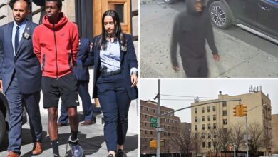 Predator who raped teen on NYC park bench gets busted by eagle-eyed cops: NYPD