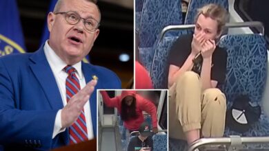 Republicans urge removal of judge who gave Iryna Zarutska’s suspected killer cashless bail