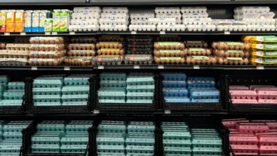Salmonella Outbreak Tied To Recalled Eggs Has Sickened 95 People Since January